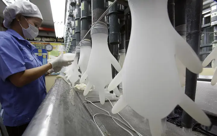 Dây chuyền nhúng khuôn sản xuất găng tay cao su tại nhà máy ở Malaysia, công nhân đang kiểm tra găng trên khuôn tay
